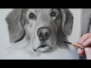 HOW TO draw a HYPER-REALISTIC dog PORTRAIT. From start to finish. 4K Time-Lapse video