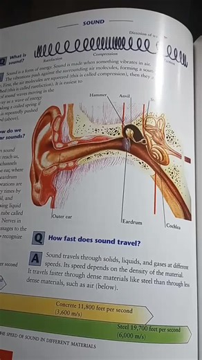 Listening through bone can seem to hear more or differently because it bypasses the outer/middle ear, directly stimulating the inner ear (cochlea) via skull vibrations, which emphasizes lower… | Erika H.