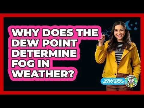 Why Does The Dew Point Determine Fog In Weather? - Weather Watchdog