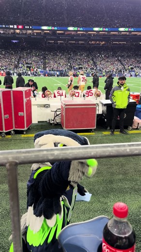 Exciting Seahawks vs. 49ers Game Experience
