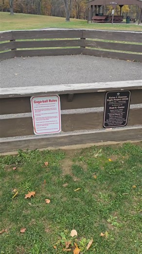 Megan Freeman | have you heard of Gaga-ball? #explore #reels | Instagram