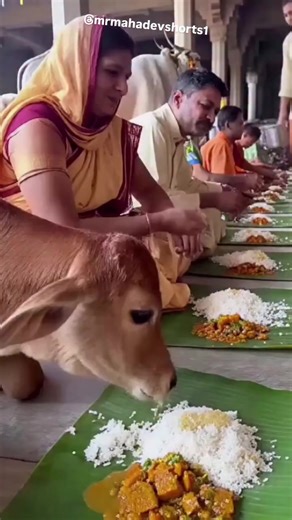 #🌺🌺🌺🌺🌺🌺 #🙏🙏🙏🙏🙏🙏🙏🙏🙏 #🚩🚩🚩🚩🚩🚩🚩🚩🚩🚩