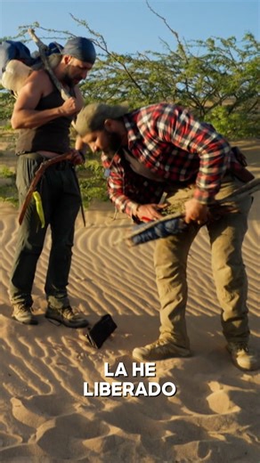 4K views · 18 reactions | ¿Comerse a la serpiente o dejarla libre? ¿Qué harán nuestros supervivientes? Descúbrelo en "Dúo de supervivientes en Brasil", los lunes a las 22:00 en Discovery. #Discovery #Duodesupervivientes #Reality #Supervivencia | Discovery Channel España | Facebook