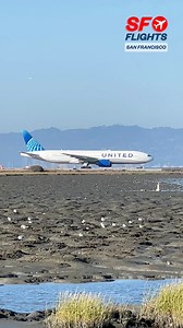 22 reactions | ✈️ Airline: United Location : San Francisco International Airport#sanfranciscoairport #airplane #airplanes #planespotting #planes #spotting #airport #airportlife #lending #takeoff #aviation #aviationworld #jetblue #Alaskaairlines #evaair #britishairlines #aircanada #boeing #airbus | SF.Flights | Facebook