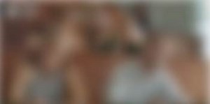 Environmental Humanities