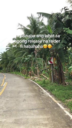 2026 Suzuki Raider Fi: New Model Highlights