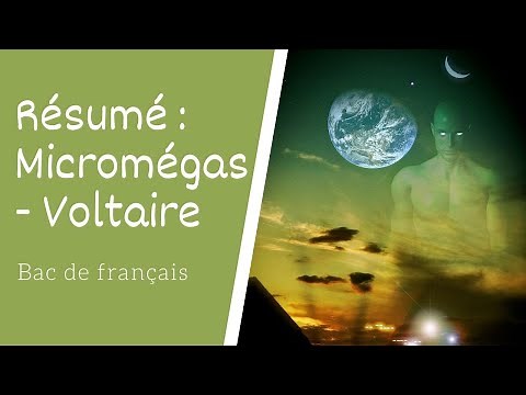 Summary of Micromegas by Voltaire