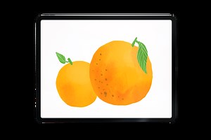 Beginner friendly Layer Masks and Clipping masks in Adobe Fresco - Print Me Some Color