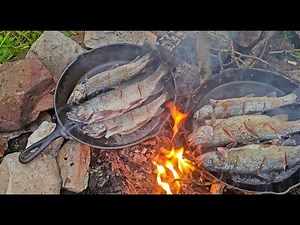 Camping Overnight and Fishing with Doug - Cooking Trout we Catch and MRE's