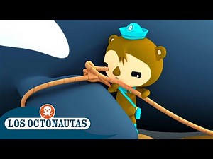 Los Octonautas - El rescate de la ballena orca en la playa | Episodios Completos