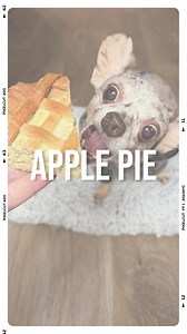 710K views · 48K reactions | Happy Thanksgiving!! What’s ur fav...