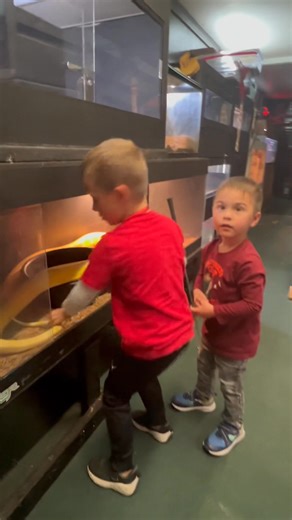 110K views · 2.7K reactions | When your first grade ‘Show & Tell’ hits different. | Off the Hook Exotic Pets | Facebook