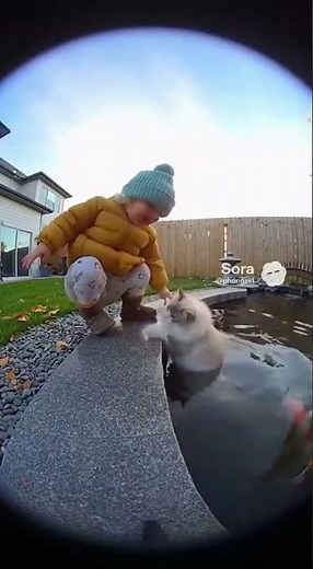 Heroic Dog Saves Baby from Danger