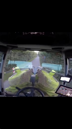 Lets Drive Claas Jaguar 980 50-Years-Edition/ Corn chopping 2025/ Corn harvest