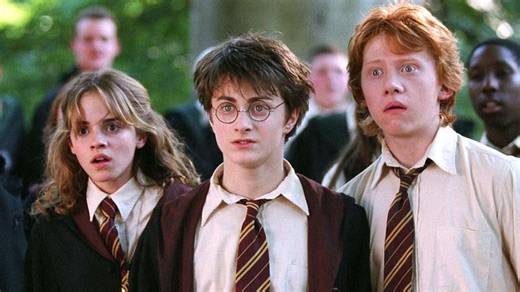 7 Most Idiotic Decisions By Harry Potter Characters, Ranked