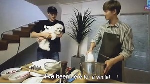61K views · 4.5K reactions | Sehun kept on laughing like there's no tomorrow, he can't believe that Suho is making a cake !! Poor leader lol and Sehun, you're such a brat ahahaha <3 | Exo Nct | Facebook