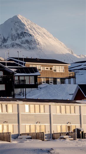 President Trump abruptly stepped back from threats to impose tariffs as leverage to seize Greenland, ruled out the use of force, and said a deal was in sight to end a dispute over the Danish territory. #greenland #trump #nato #tariff #denmark | Reuters