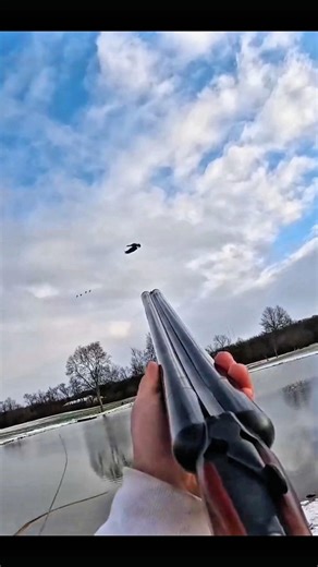 Fast flying ducks, sharp aim! #trendingshorts #hunting #huntingvideo