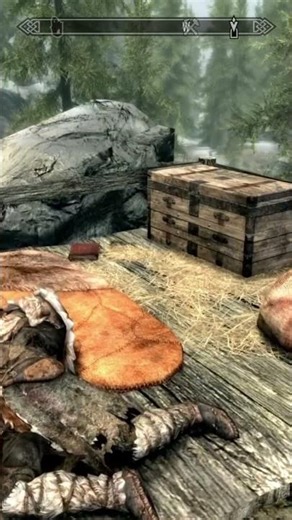 Skyrim - A Living World with Atmosphere #skyrim