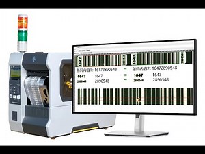 BLC Label Print Inspection，ZEBRA ZT610 ，CIS Vision
