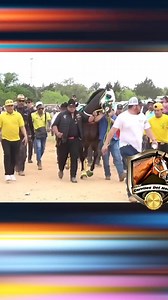 509K views · 11K reactions | El Sucesor vs El Millon C. 3 amigos C. Cristo Rey recordándo este carreron #caballosdemexico #Cuadra3Amigos #carrerascaballos #horseracing | Carriles Del Norte | Facebook