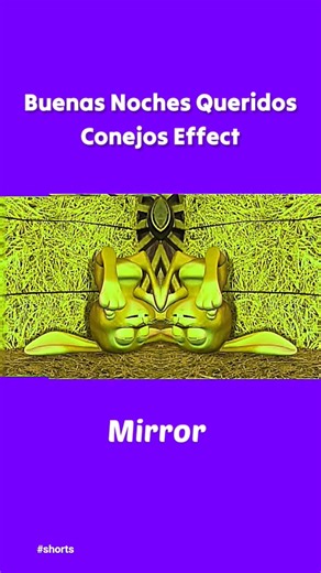 Buenas Noches Queridos Conejos Effect Funny Revision Preview 2 Effect