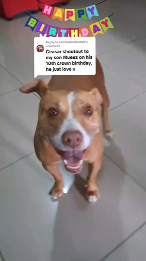 #happybirthday | Candice Candypops