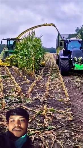 Epic Corn Cutting Machine in Full Action #farming #agriculture #heavymachinery #skills #shorts