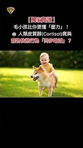 AEP.01-5🧐【獨家實證】建立毛小孩與人類健康的共調節關係！😨 人類皮質醇(Cortisol)與寵物依戀行為「同步增減」？ 寵物依戀、人類壓力、皮質醇、情緒傳染、焦慮、憂鬱、毛小孩焦慮、寵物療癒。