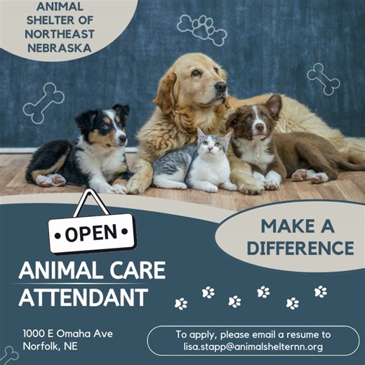 NOW HIRING - Animal Care Attendant To apply: https://www.indeed.com/viewjob?jk=211f53227a98420c&from=shareddesktop | Animal Shelter of Northeast Nebraska