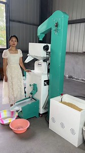 33K views · 462 reactions | Home and commercial use rice mill, capacity: 250-300kg/h.#ricemill | Mini Rice Mill Machine | Facebook