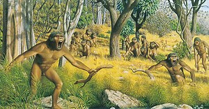 Anatomie comparée de l'Homme et du singe