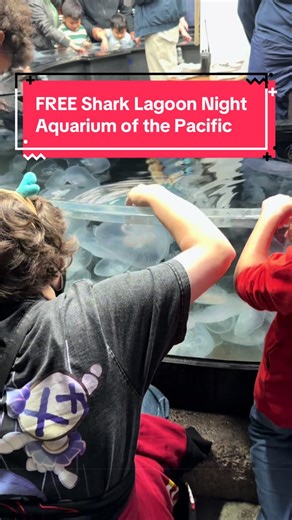 Enjoy Free Tickets to Shark Lagoon Night at the Aquarium