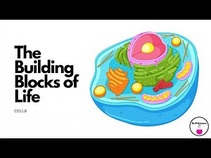 The Building Blocks of Life