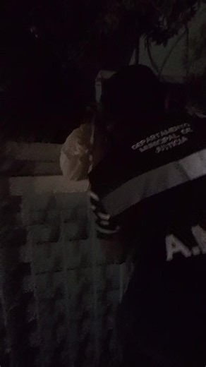 🚨🔒 La seguridad y los derechos de las personas deben prevalecer en todo momento. Algunos propietarios de negocios, con el propósito de evadir la acción de las autoridades municipales, optan por cerrar sus establecimientos con clientes en el interior, limitando su ingreso o salida, muchas veces sin su autorización. Esta práctica es totalmente incorrecta y pone en riesgo la seguridad de las personas. Además, recordamos que en el Distrito Central está prohibido que los establecimientos permanezca
