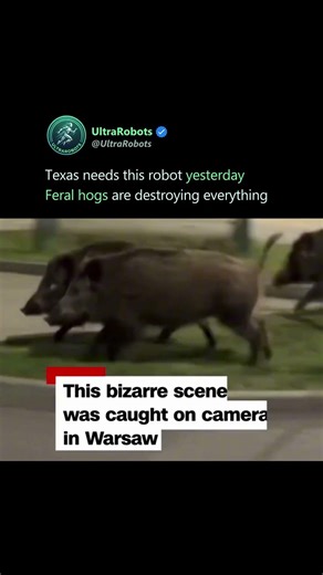 This Weird Robot Clip Is More Important Than It Looks