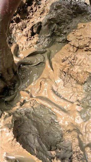 Unbelievable Mud Fishing by Hand! 🎣 | Traditional Survival Skills #fishing #fish #nature