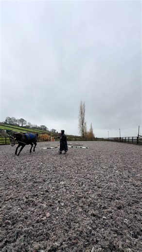 2025 - The year I got my sweet girl Nova. Bought blind from Ireland as a project to bring on, sell on and hopefully make some profit but ended up forgetting what life was like before she was in it. Roll on 2026 when she’ll be backed. Love learning with you Nova💜