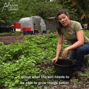 How to Fix Your Soil! | Anne of All Trades