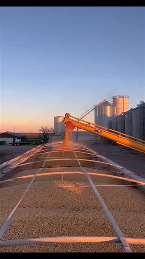 9K views · 320 reactions | Yooooo, this industrial grain dryer can change the story of maize farmers paaaa  oooh | The Ghanaian Farmer | Facebook