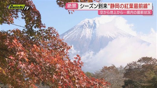 【絶景】“紅葉”シーズン到来！見頃迎えた県内各地のスポットを空陸取材でチェック…紅葉狩りでの専門家アドバイスも（静岡）（Daiichi-TV（静岡第一テレビ））