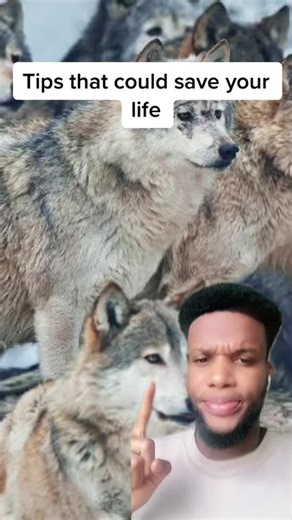 How many of these tips did you already know? #viral #xyzbca #tips #safety #papiiitino