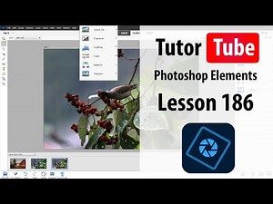 Photoshop Elements Tutorial - Lesson 186 - Offset