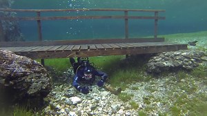 7.4K views · 201 reactions | SUBMERGED PARK Is it possible to dive among the trees in a park? Diving Passport Destinations - Green Lake, Austria #divingpassport #scubadiving #scuba #buceo | Diving Passport | Facebook