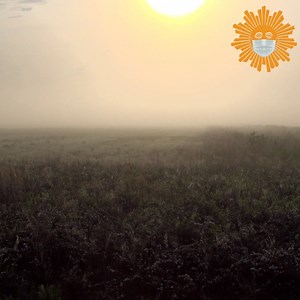 73K views · 3.2K reactions | Do Nothing for One Minute Take a minute, turn up the volume as we take you to Alligator River National Wildlife Refuge in Manteo, North Carolina. Videographer: Carl Mrozek. https://cbsn.ws/36ckQG4 | CBS Sunday Morning | Facebook