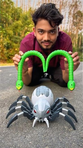 Remote Control Snake Vs Rc Spider Deko 😳