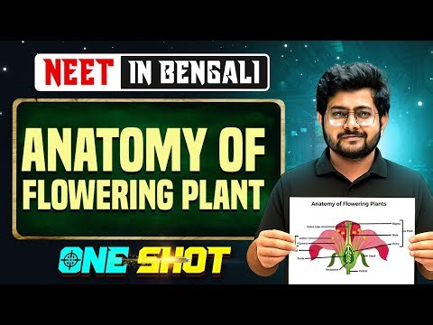 Anatomy of Flowering Plant One Shot in Bangla 🌿 NEET Biology in Bengali