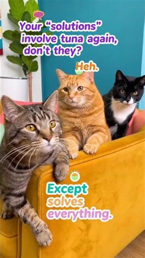 Talking Cats Compilation #cats #catvideos #cutecat #funnycats #kitty #catlover #fyp #meow