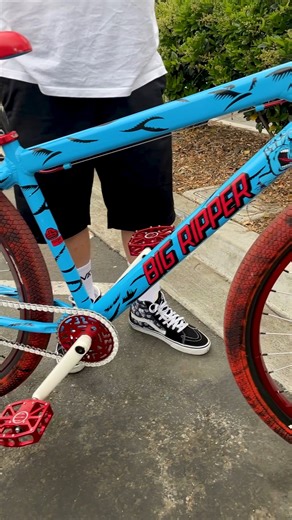 The Santa Cruz Big Ripper was an awesome collab bike we did with Santa Cruz Skateboards, and Miguel Gomez found this one on eBay! So rad! Santa Cruz Skateboards | SE Bikes