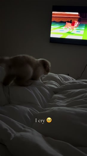 Erin & Tiny (@erinhaines326)’s video of people filming themselves crying